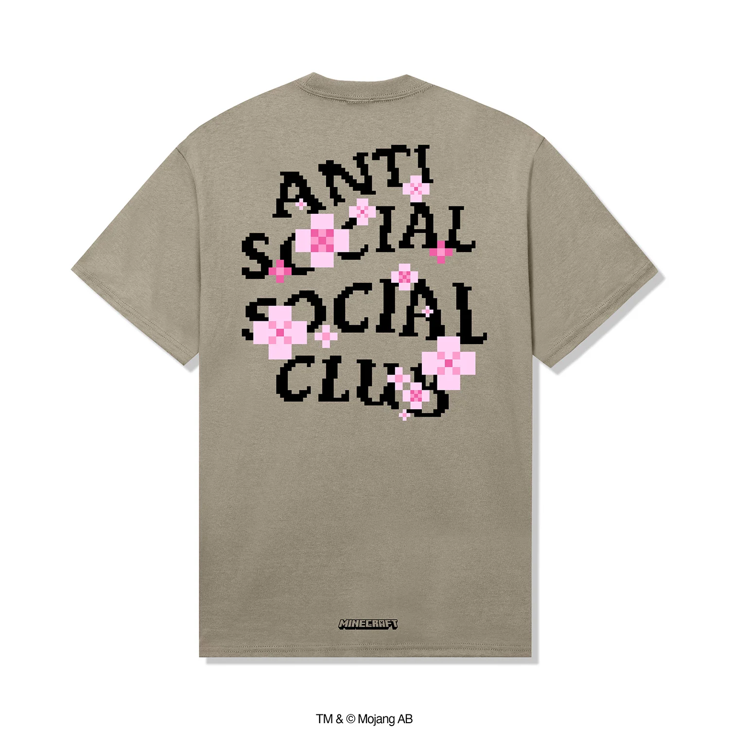 ASSC x MINECRAFT